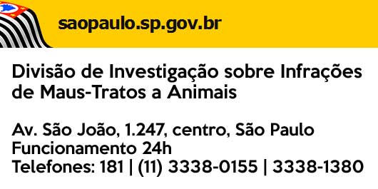 Maus tratos contra os animais em São Paulo