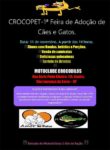1ª CrocoPet - Feira de Adoção de Cães e Gatos em São Lourenço da Serra